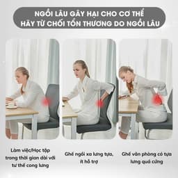 Thumbnail Gối Tựa Lưng Văn Phòng Ô Tô Sofa A Concept Decor Gối Kê Lưng Cao Cấp Êm Ái Gối Dựa Lưng Công Thái Học Giảm Đau Lưng 1