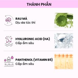 Thumbnail Bộ đôi Nước hoa hồng Freska HA 5 Centella Soothing Essence Toner 210ml 4