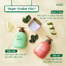 Thumbnail Dầu Gội Thảo Dược Cỏ Cây Hoa Lá Bưởi Trà Dưỡng Tóc Chắc Khỏe 350g - Dành Cho Tóc Khô Xơ, Hư Tổn 4