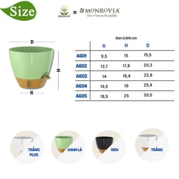 Thumbnail Chậu trồng cây tự tưới thông minh Monrovia A60 cho cây trong nhà và ngoài trời, decor, văn phòng 2