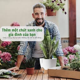 Thumbnail Chậu trồng cây tự tưới thông minh Monrovia A60 cho cây trong nhà và ngoài trời, decor, văn phòng 1