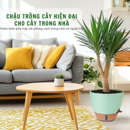 Thumbnail Chậu trồng cây tự tưới thông minh Monrovia A60 cho cây trong nhà và ngoài trời, decor, văn phòng 3