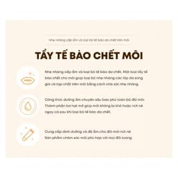 Thumbnail Kem Tẩy Tế Bào Chết Môi Thefaceshop Lip Scrub 10g 3
