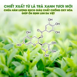 Thumbnail Combo 9 Mặt Nạ Trà Xanh Mix Tràm Trà SEXYLOOK Giảm Mụn Dầu và Dưỡng Ẩm Da (9 miếng x 25ml) 4