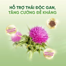 Thumbnail Sữa Hạt Forganic Bữa ăn thay thế 600G (20 gói) - Dinh dưỡng đủ đầy, Thanh lọc cơ thể 2