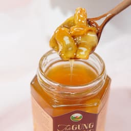 Thumbnail Trà gừng mật ong Mộc Hương Sơn hũ 280ml - giữ ấm, tăng cường sức khỏe 2