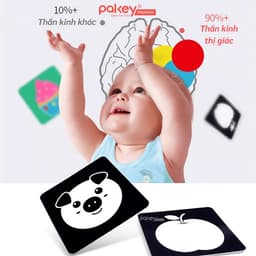 Thumbnail Bộ 20 Thẻ Kích Thích Thị Giác Pakey Cao Cấp Giúp Phát Triển Khả Năng Quan Sát Trực Quan Cho Bé 2