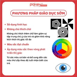 Thumbnail Bộ 20 Thẻ Kích Thích Thị Giác Pakey Cao Cấp Giúp Phát Triển Khả Năng Quan Sát Trực Quan Cho Bé 3