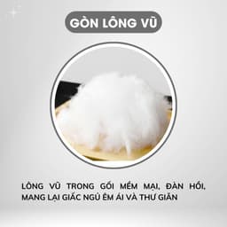 Thumbnail Ruột Gối Ôm Lông Vũ Cao Cấp KT 35x100cm Kèm Túi Đựng Sang Trọng Mềm mại Thoáng Mát Kháng Khuẩn Chống Xẹp Êm Ái Ngủ Ngon 4
