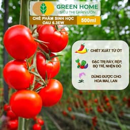 Thumbnail Chế Phẩm Sinh Học OAU 6.3EW GreenHome, Chai 500Ml, Thảo Mộc, Đặc Trị Rệp, Rầy, Bọ Trĩ Cho Cây Và Hoa 1
