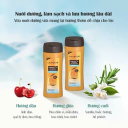 Thumbnail Combo Dầu Gội Phục Hồi Tóc Chuyên Sâu Chống Bết Tóc 200ML + Sữa Tắm Hương Hoa Cao Cấp Làm Sạch Sâu Cơ Thể Chai 300Ml 1