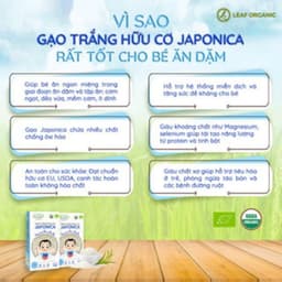 Thumbnail Gạo trắng ăn dặm cho bé Japonica Hoa Sữa Foods hộp 1kg 1