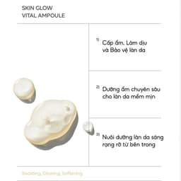 Thumbnail BIODANCE Tinh Chất Dưỡng Sáng Mờ Thâm Mụn Hệ Miễn Dịch Da Mềm Mịn Skin Glow Vital Ampoule 50ml 2
