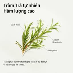 Thumbnail Mặt nạ tràm trà làm dịu da Some By Mi Tea Tree Calming Sheet Mask 25g 1