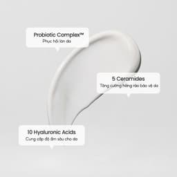 Thumbnail BIODANCE Kem Dưỡng Ẩm Làm Sáng Căng Bóng Và Phục Hồi Da Skin GLow Essence Cream 50ml 1