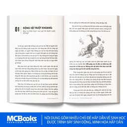 Thumbnail Sách - STEM dành cho học sinh - Phát triển tư duy logic, khám phá khoa học 4