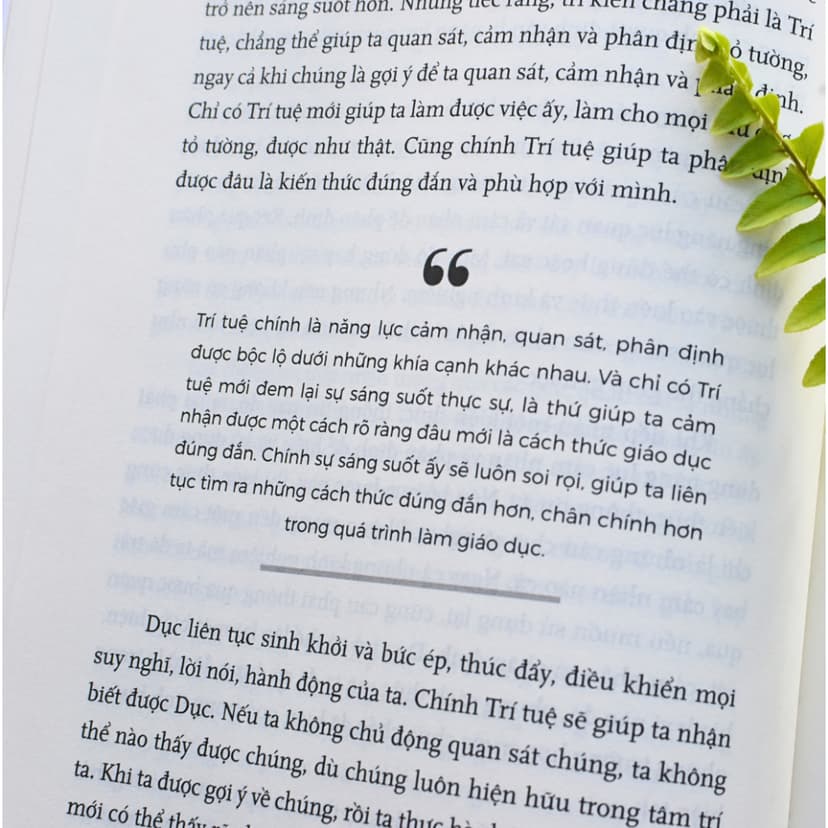Ảnh Bộ Sách - Tầm Nhìn Khai Phóng (3 cuốn - bìa cứng) - Tác giả: Trần Thế Công 4