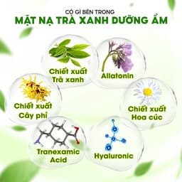 Thumbnail VHL Bộ 9 Mặt Nạ Tràm Trà Giảm Mụn Dầu + Trà Xanh Dưỡng Ẩm Da (5M Tràm Trà*28ml/M + 4M Trà XL*25ml/M) 3