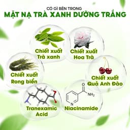 Thumbnail VHL Bộ 9 Mặt Nạ Tràm Trà Giảm Mụn Dầu + Trà Xanh Dưỡng Sáng Da(5M Tràm Trà*28ml/M +4M Trà XD*25ml/M) 3