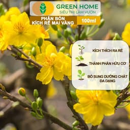 Thumbnail Phân Bón Kích Rễ Mai Vàng GreenHome, Hũ 100ml, Ra Rễ Cực Mạnh Dùng Giâm, Chiết Cành, Chuyên Hoa Mai 1