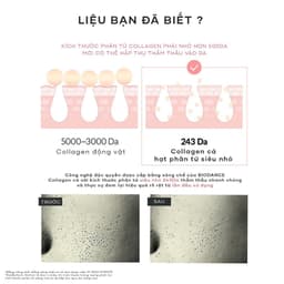 Thumbnail BIODANCE Kem Dưỡng Ẩm Collagen Cải Thiện Lỗ Chân Lông Căng Bóng Da Pore Tightening Collagen Cream 50ml 3