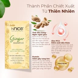 Thumbnail Dây Dầu Gội Tinh Dầu Gừng Thiên Nhiên hiNICE Ginger Shampoo Hỗ Trợ Giữ Ẩm, Sạch Gàu Da Đầu 4