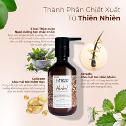Thumbnail Kem Xả Tinh Dầu Thảo Dược Thiên Nhiên hiNICE Herbal Conditioner Hỗ Trợ Phục Hồi Tóc, Giảm Rụng Tóc 4