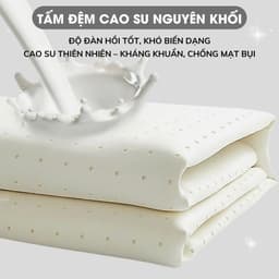 Thumbnail Chiếu Điều Hoà Cao Su Non A Concept Decor Chiếu Điều Hoà Tencel Cao Cấp Mát Lạnh Bo Chun Chiếu Ngủ Êm Ái Thoáng Khí 2