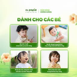 Thumbnail 2 Hộp Gạc Chống Sún Răng DR.PAPIE 1+ Tiêu Chuẩn 5SAO, Làm Sạch Khoang Miệng Cho Bé Từ 1 Tuổi  - 30Gói/Hộp x 2 3