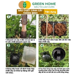 Thumbnail 10 Bầu Chiết Cành GreenHome, Nhiều Kích Thước, Tăng Khả Năng Ra Rễ,Chống Úng Cành Chiết,Độ Bền 2 Năm 3
