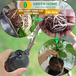 Thumbnail 10 Bầu Chiết Cành GreenHome, Nhiều Kích Thước, Tăng Khả Năng Ra Rễ,Chống Úng Cành Chiết,Độ Bền 2 Năm 4