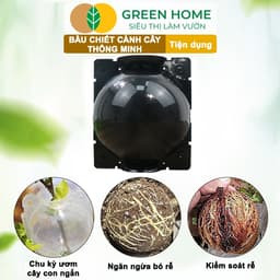 Thumbnail 10 Bầu Chiết Cành GreenHome, Nhiều Kích Thước, Tăng Khả Năng Ra Rễ,Chống Úng Cành Chiết,Độ Bền 2 Năm 2