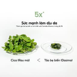Thumbnail BIODANCE Mặt Nạ Thạch Dịu Da Giảm Mẫn Đỏ Dưỡng Da Sâu Loại Bỏ Mụn Đầu Đen Refreshing Sea Kelp Real Deep Mask 34g 1