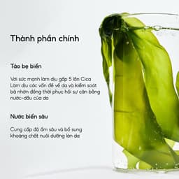 Thumbnail BIODANCE Mặt Nạ Thạch Dịu Da Giảm Mẫn Đỏ Dưỡng Da Sâu Loại Bỏ Mụn Đầu Đen Refreshing Sea Kelp Real Deep Mask 34g 2