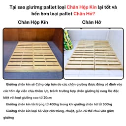 Thumbnail Giường pallet gỗ thông Behomes loại hộp kín, đã ráp sẵn hoàn thiện, nan dày, đã xử lí ẩm mốc mối mọi 1
