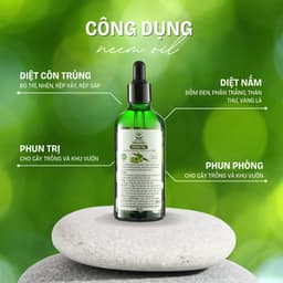 Thumbnail Neem oil phòng trị sâu bệnh hoa hồng, phong lan, cây cảnh DOCNEEM hữu cơ, nguyên chất ép lạnh, hàng chính hãng 3