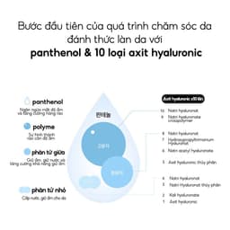 Thumbnail BIODANCE Nước Hoa Hồng Cân Bằng pH Dưỡng Ẩm Dịu Nhẹ Cho Da First Synergy Toner 150ml 4