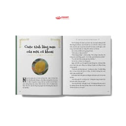 Thumbnail Sách thiếu nhi - Những câu chuyện cổ phố Broca - Crabit Kidbooks 2