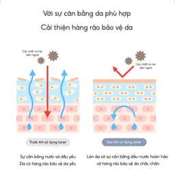 Thumbnail BIODANCE Toner Chiết Xuất Dầu Hạt Nho Huyết Thanh Cấp Ẩm Cải Thiện Kết Cấu Da Micro Dual Serum Toner 3