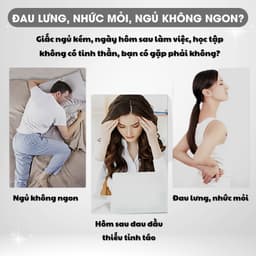 Thumbnail Gối Cao Su Non Cao Cấp Dùng Gối Đầu Đệm Ngồi Tựa Lưng Hỗ Trợ Đau Vai Gáy Cho Văn Phòng Gối Ngủ êm Mềm Vỏ Gối Dễ Thương 1