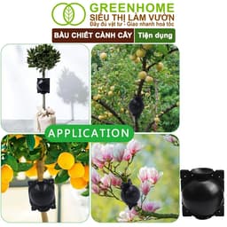 Thumbnail Bầu Chiết Cành GreenHome, Nhiều Kích Thước, Khả Năng Ra Rễ, Chống Úng Cành Chiết, Độ Bền 2 Năm 2