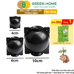Thumbnail Bầu Chiết Cành GreenHome, Nhiều Kích Thước, Khả Năng Ra Rễ, Chống Úng Cành Chiết, Độ Bền 2 Năm 1
