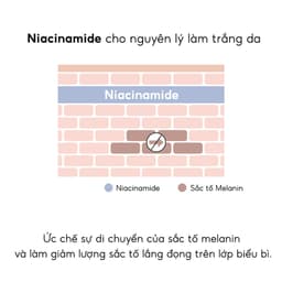 Thumbnail BIODANCE Bột Rửa Mặt Tẩy Tế Bào Chết Sáng Da Dịu Nhẹ Hydro Ceramide Cleansing Power 30g 4