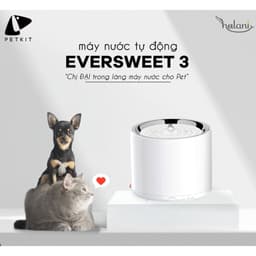 Thumbnail Máy nước Eversweet 3 Petkit cho thú cưng 1