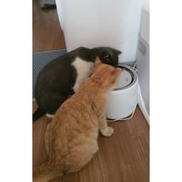 Thumbnail Máy nước Eversweet 3 Petkit cho thú cưng 3