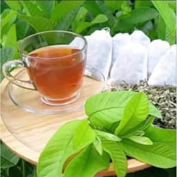 Thumbnail Trà gạo lứt búp ổi Camifarm hỗ trợ giảm cân, thanh lọc cơ thể, mát gan, giảm mỡ máu, ngừa tiểu đường 4