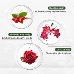 Thumbnail Set 2 sữa tắm dưỡng trắng cánh hoa hông Damask Weilaiya Shower Gel 450ml làm sạch và sáng da 4
