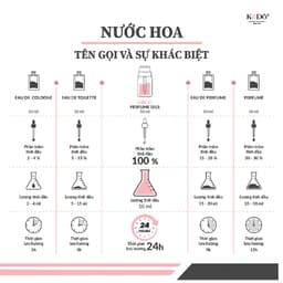 Thumbnail KODO Tinh Dầu Nước Hoa Bộ Sưu Tập 2024 Nguyên Chất Mùi Hương Sang Trọng, Thư Giãn, 10ml 3