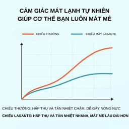 Thumbnail Chiếu Mây Điều Hòa Băng Lạnh Chính Hãng Lasante Chun Bọc Đệm , 4 Lớp Mát, Thông Thoáng Cho Mùa Hè 4