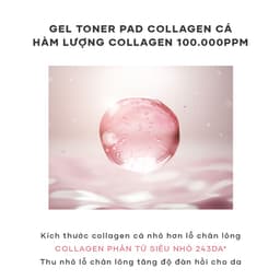 Thumbnail BIODANCE Toner Pad Dạng Gel Cung Cấp Collagen Tăng Cường Đàn Hồi Da Dưỡng Ẩm Thu Nhỏ Lỗ Chân Lông Gel Toner Pads 140g 2